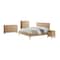 Alaterre Furniture Arden 5-Piece Wood Bedroom Set with King Bed, Two 2-Drawer Nightstands, Chest, Dresser ANAN011344029 - alternate 1